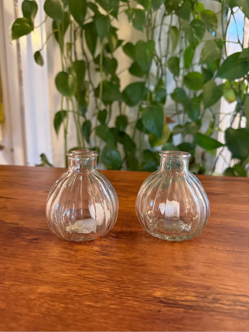 Clear Glass Ribbed Mini Bud Vases - Home Accents
